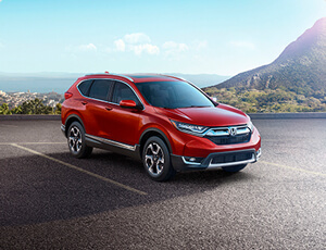 Partyzelt 6 x 12 Meter PRO